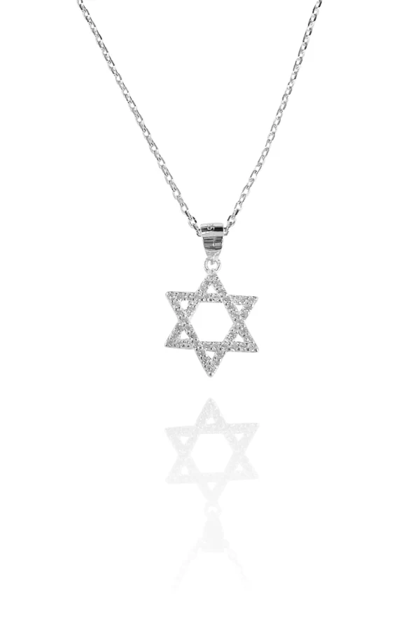 תמונת מוצר 1